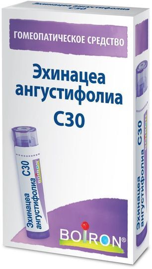 Эхинацея Ангустифолиа C30 4г гранулы гомеопатические Эхинацея Ангустифолиа C30 4г гранулы гомеопатические