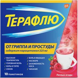 ТераФлю лесные ягоды порошок для приготовления раствора для приема внутрь 10 шт. ТераФлю лесные ягоды порошок для приготовления раствора для приема внутрь 10 шт.