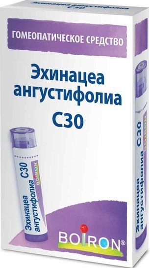 Эхинацея ангустифолиа c30 4г гранулы гомеопатические