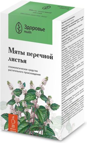 Мята Перечная листья 20 шт. Здоровье Мята Перечная листья 20 шт. Здоровье