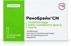 Ренобрейн см 10мг 10 шт. лиофилизат для приготовления раствора для внутримышечного введения Ренобрейн см 10мг 10 шт. лиофилизат для приготовления раствора для внутримышечного введения