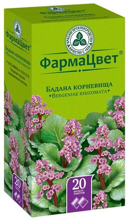 Зопник колючий - Phlomis pungens - Описание таксона - Плантариум