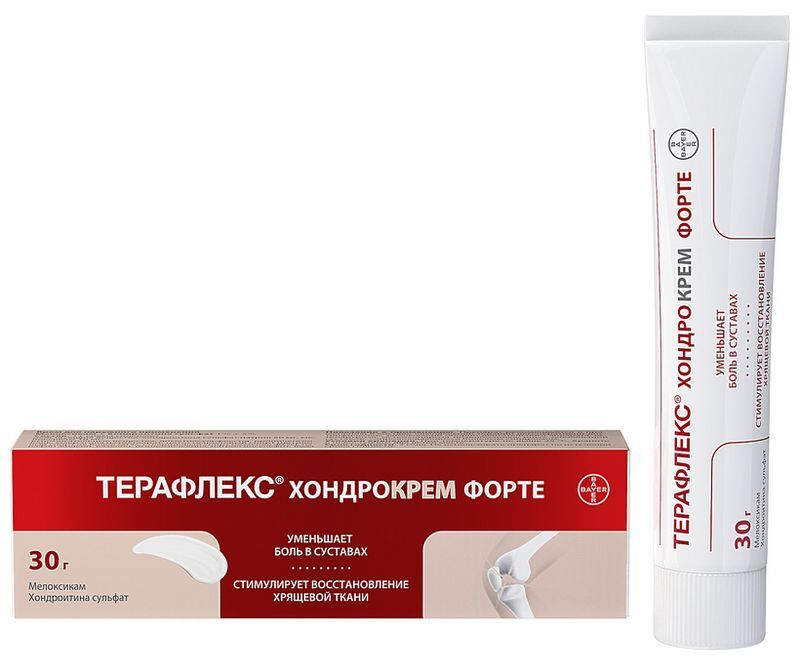 Терафлекс Хондрокрем Форте 1%+5% 30г крем для наружного применения Нижфарм, фото №2