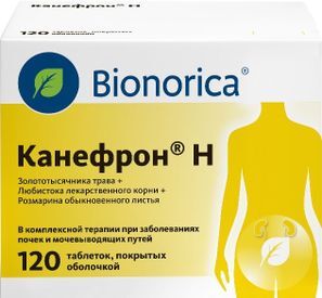 Канефрон Н 120 шт. таблетки покрытые оболочкой Канефрон Н 120 шт. таблетки покрытые оболочкой