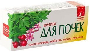 Комплекс Для Почек Биокор драже 40 шт. Биокор Комплекс Для Почек Биокор драже 40 шт. Биокор