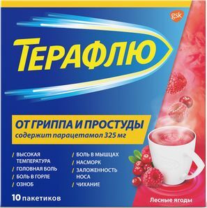 ТераФлю лесные ягоды порошок для приготовления раствора для приема внутрь 10 шт. ТераФлю лесные ягоды порошок для приготовления раствора для приема внутрь 10 шт.