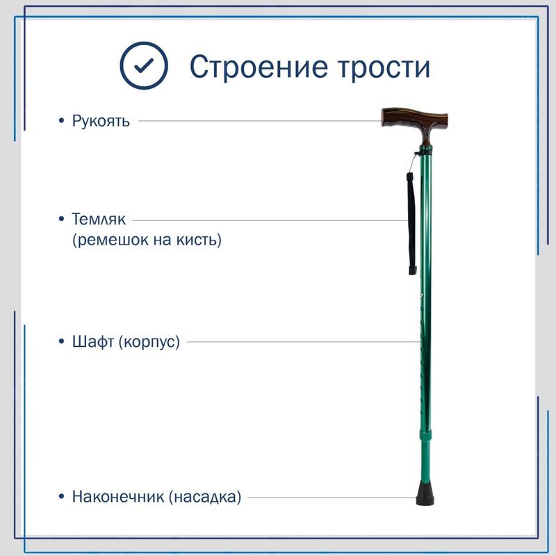 Амрус трость металлическая телескопическая с ортопедической рукояткой amct25 gr зеленая, фото №4