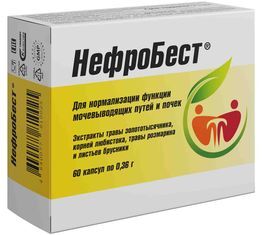 Нефробест капсулы 0,36г 60 шт. Фармакор Продакшн Нефробест капсулы 0,36г 60 шт. Фармакор Продакшн