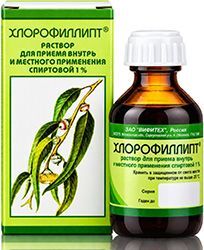 Хлорофиллипт 1% 50мл раствор для приема внутрь и местного применения спиртовой Хлорофиллипт 1% 50мл раствор для приема внутрь и местного применения спиртовой