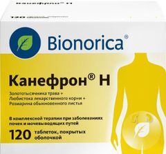 Канефрон Н 120 шт. таблетки покрытые оболочкой Канефрон Н 120 шт. таблетки покрытые оболочкой