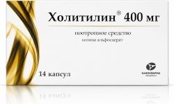 Холитилин 400мг 14 шт. капсулы Холитилин 400мг 14 шт. капсулы